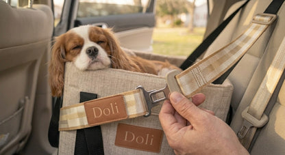 Siége auto anti-stress pour chien-Doli